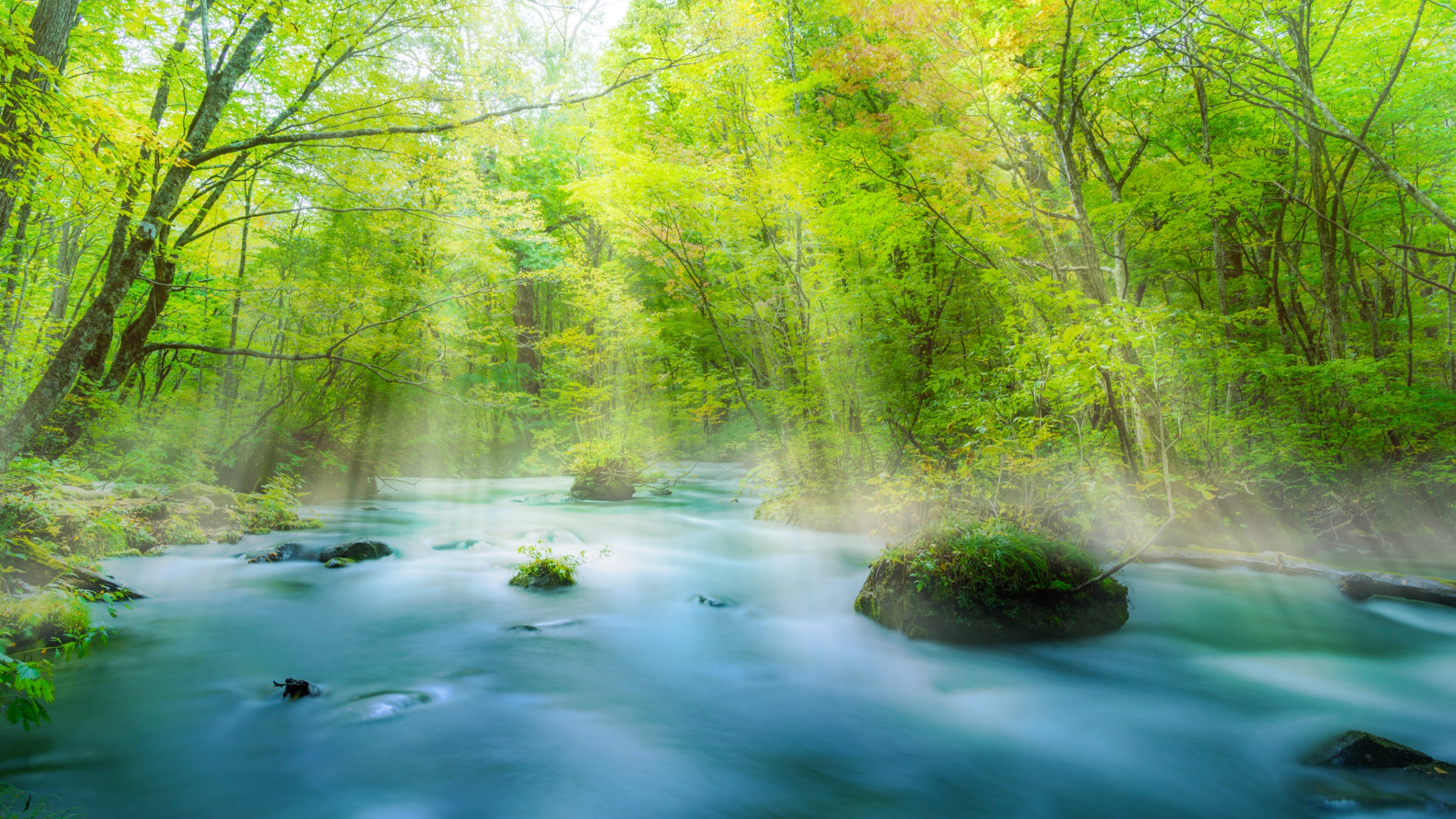 自然と癒しを感じる宿